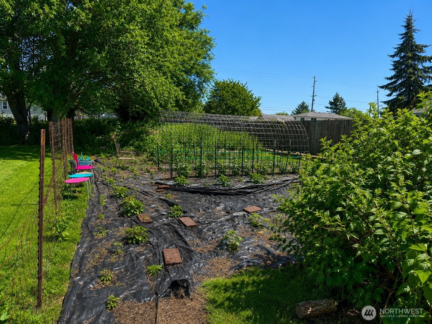 902 Harding Road Aberdeen, WA 98520 - Photo 16 of 18 a backyard of a house with lots of green space and plants
