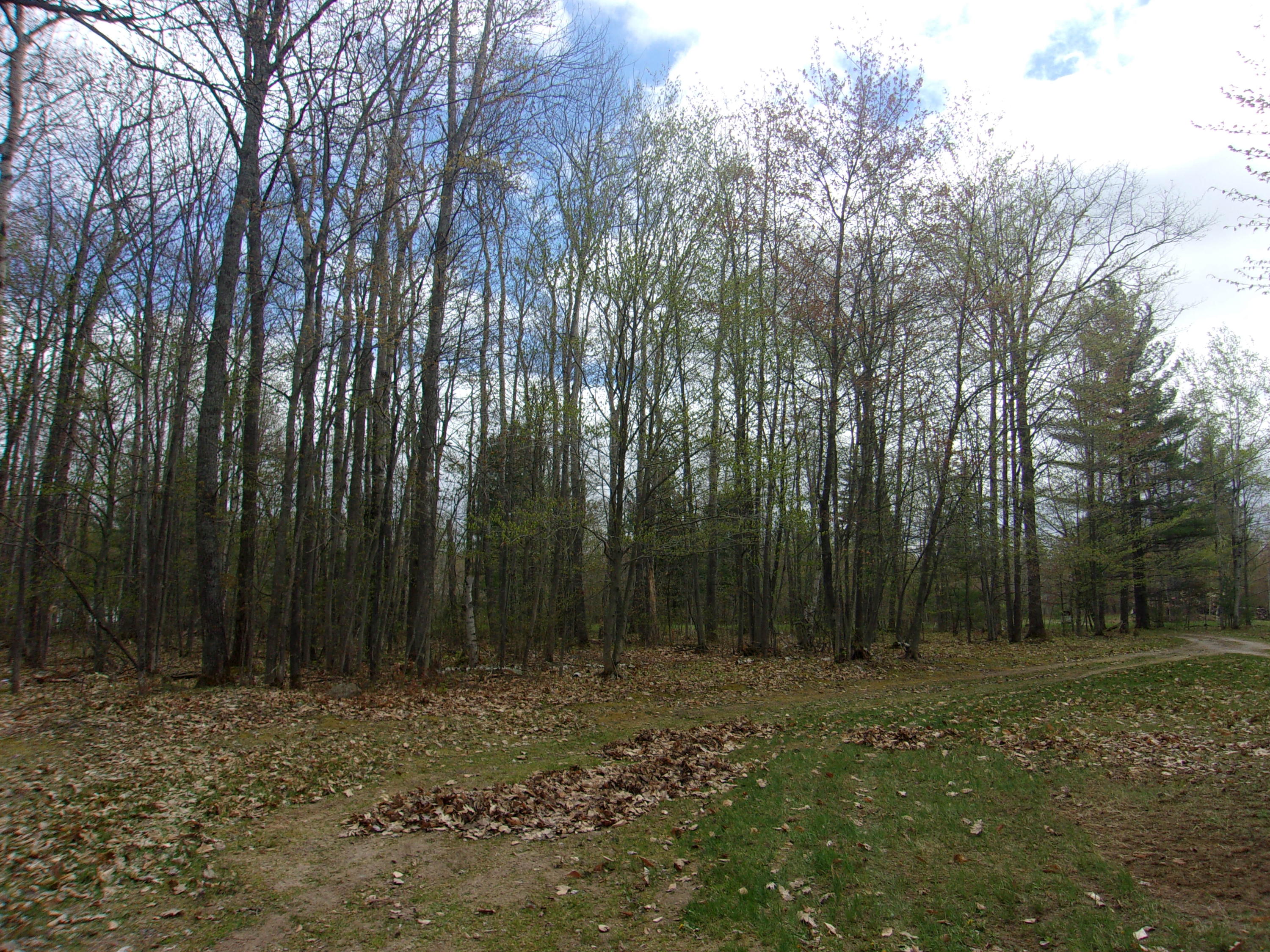 4530 Woodmansee Road Cheboygan, MI 49721 - Photo 23 of 23 Gallery Image 23