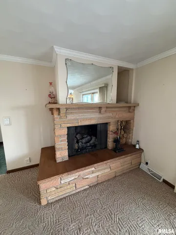 $225,000 | 205 Ingersoll Boulevard, Canton, IL 61520