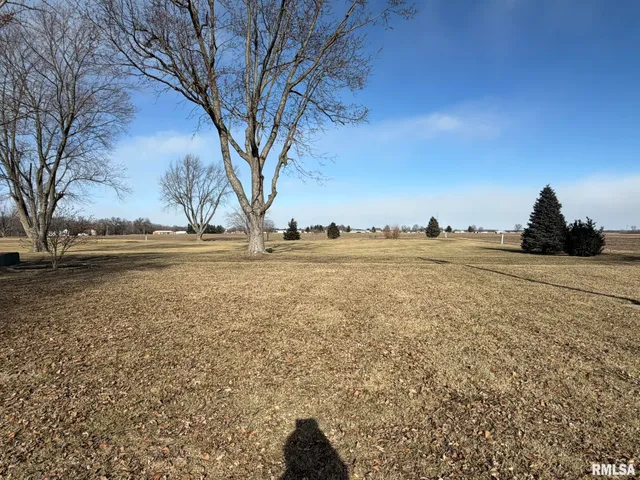 $225,000 | 205 Ingersoll Boulevard, Canton, IL 61520