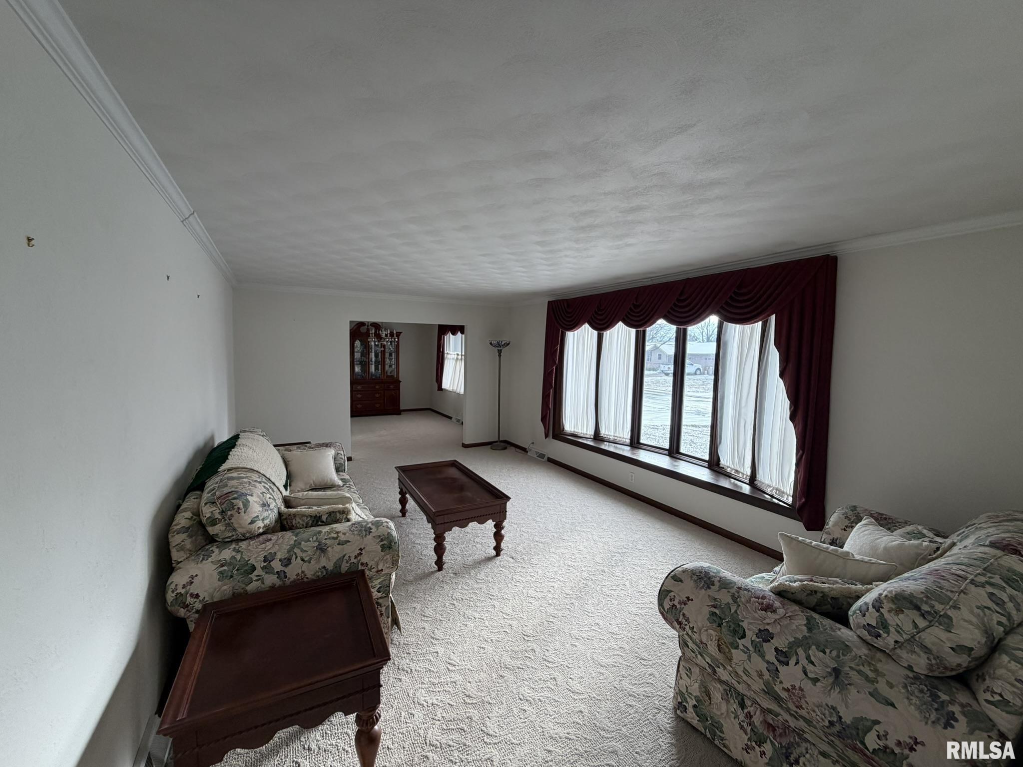 205 Ingersoll Boulevard Canton, IL 61520 - Photo 9 of 55