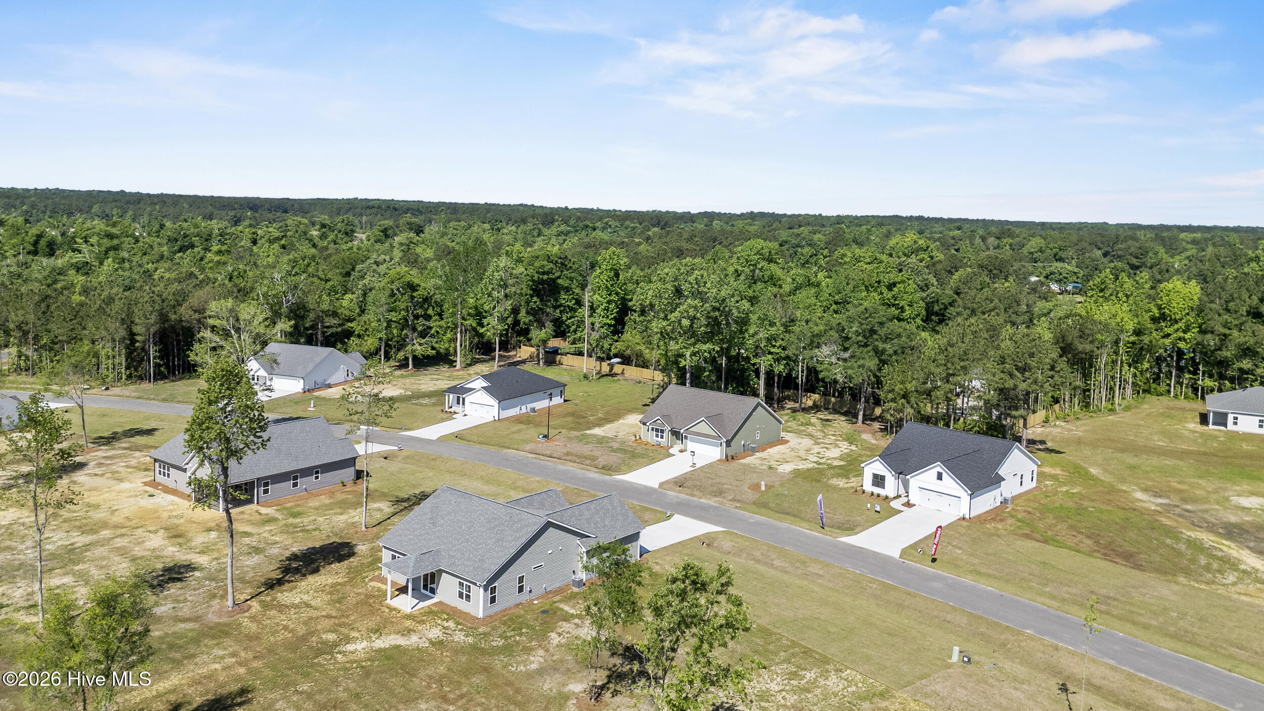 308 Riva Ridge Burgaw, NC 28425 - Photo 5 of 30 04