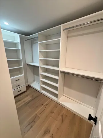 a view of an empty walk in closet