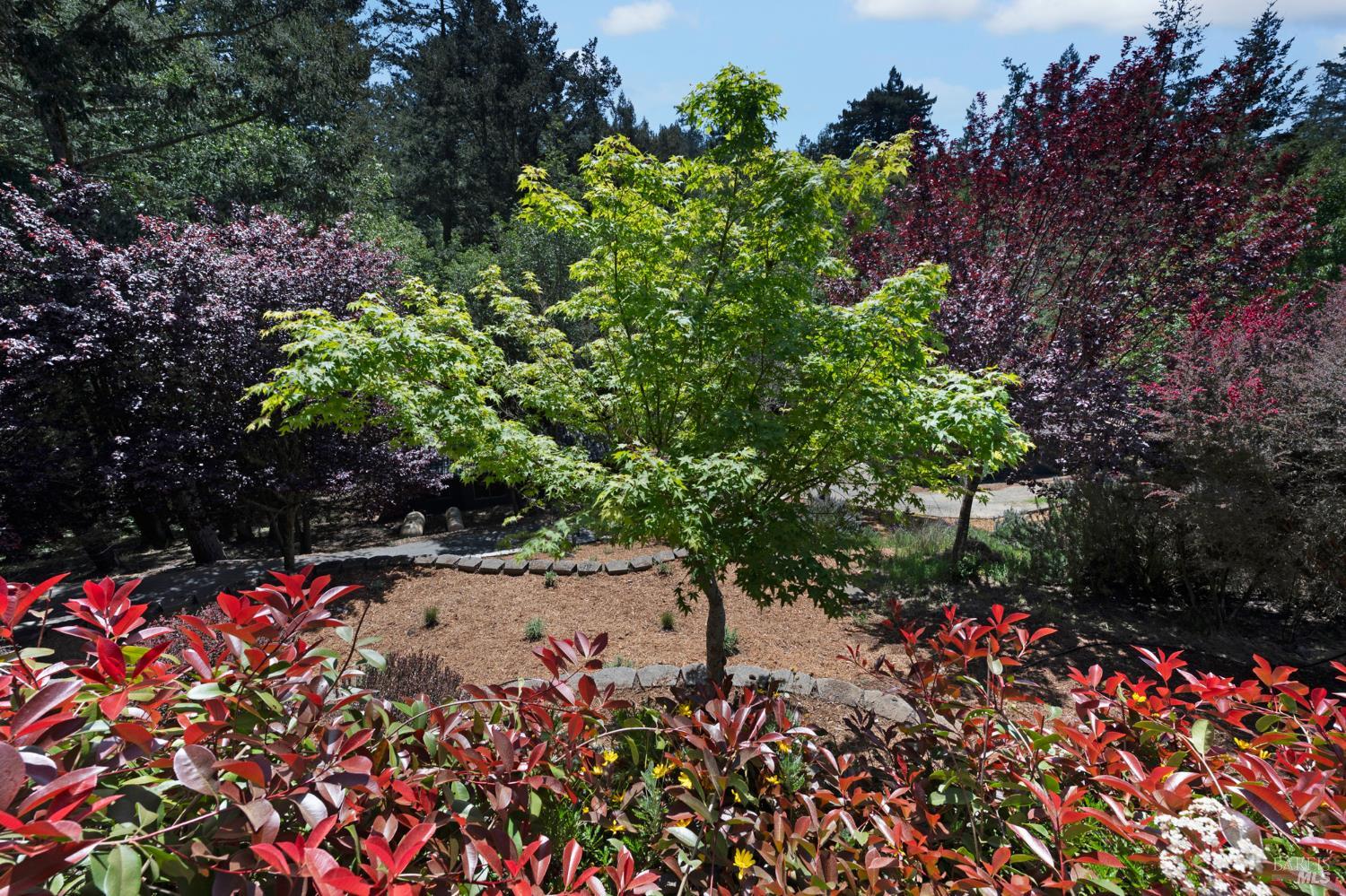 750 Wagnon Road Sebastopol, CA 95472 - Photo 36 of 65 Gallery Image 36