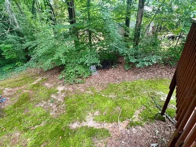 a view of a yard with plants and large trees