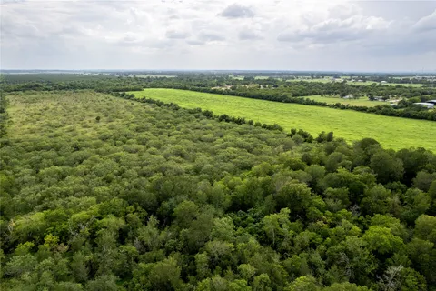 a view of a city with lots of trees