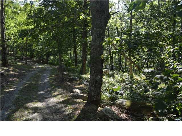 574 Rock Bluff Road Rising Fawn, GA 30738 - Photo 29 of 30 Additional Photo