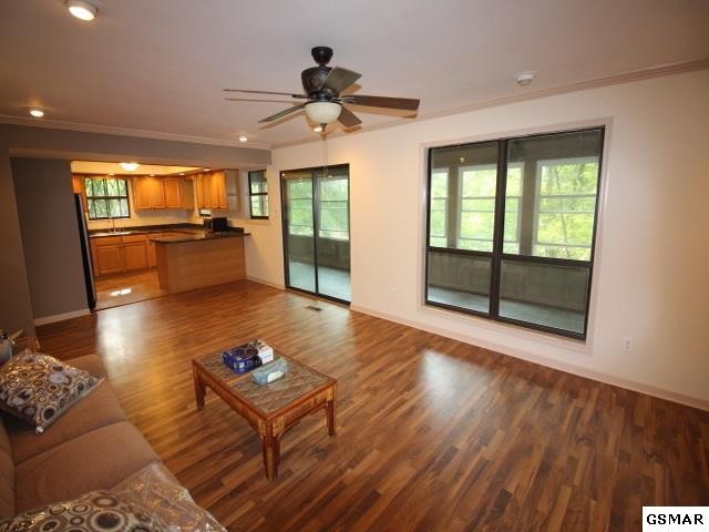 7733 Berry Williams Road Townsend, TN 37882 - Photo 4 of 23 Gallery Image 4