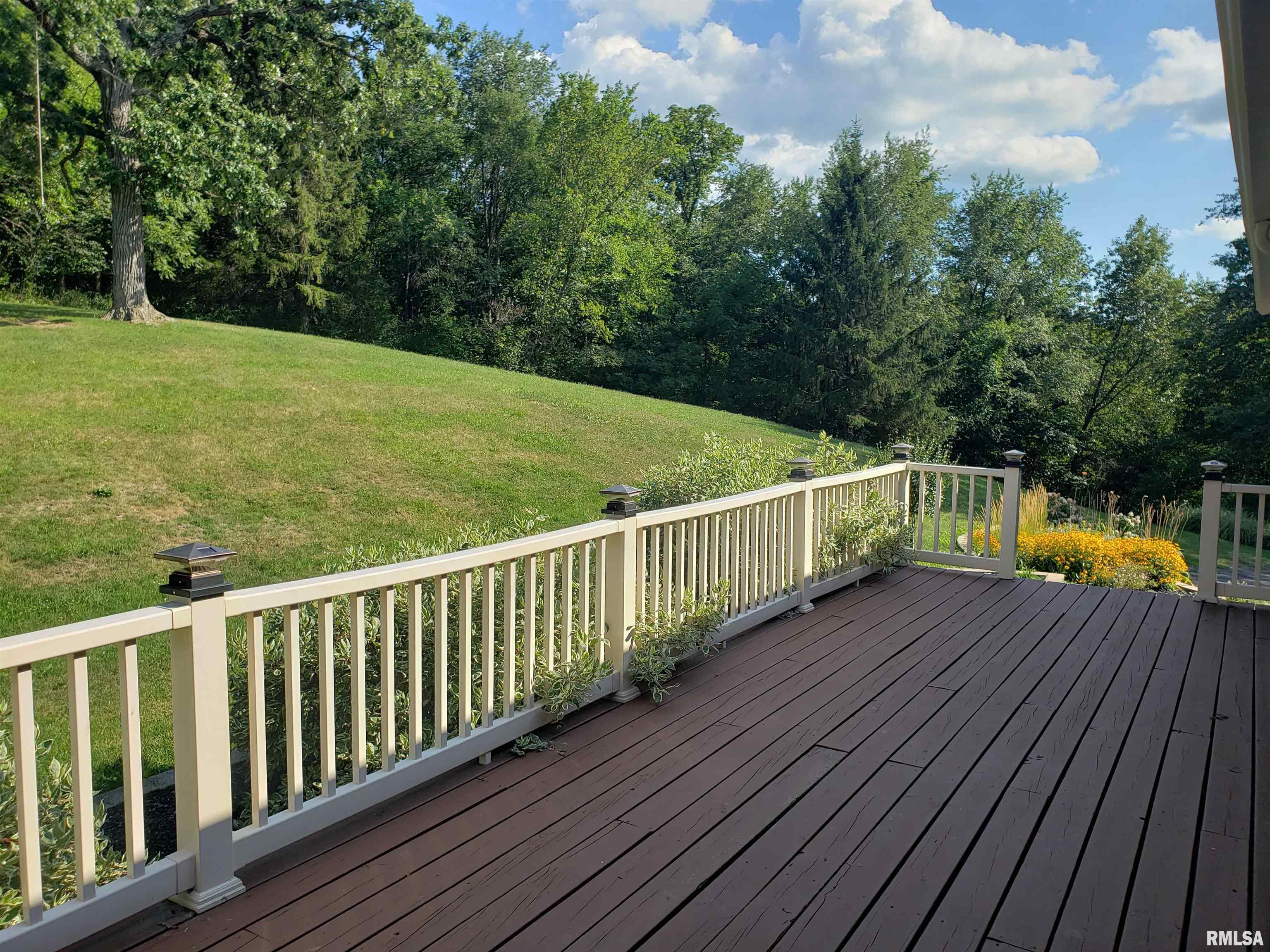 17741 Warner Castle Road Orion, IL 61273 - Photo 4 of 5