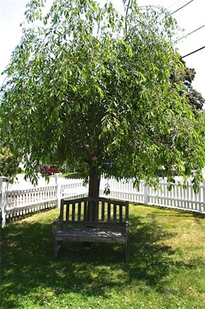 48 Banks Road Swampscott, MA 01907 - Photo 25 of 28