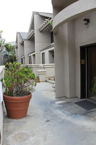 a view of a potted plants on a house
