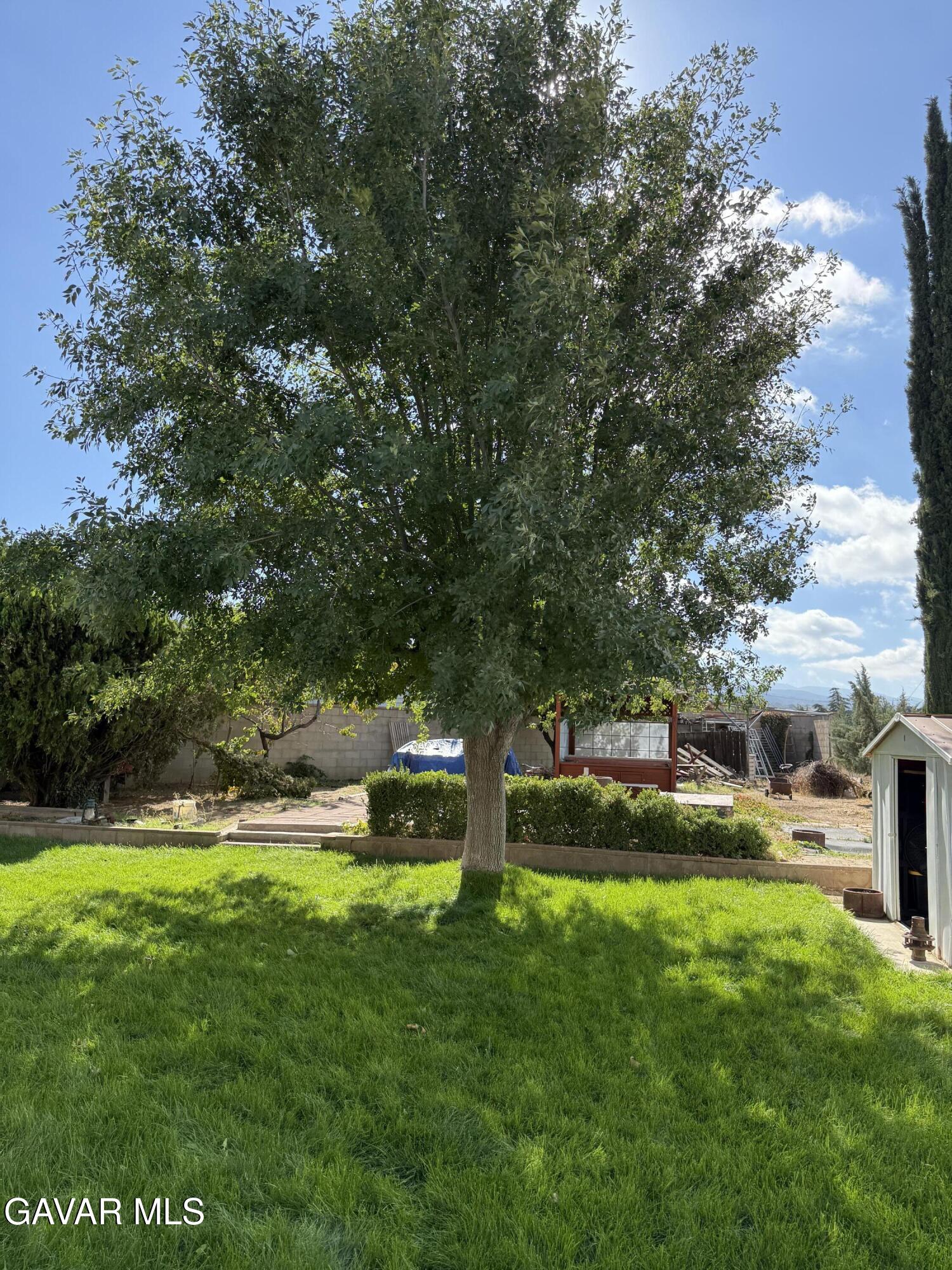 919 Golden W Court Tehachapi, CA 93561 - Photo 23 of 23 a view of a park with large trees