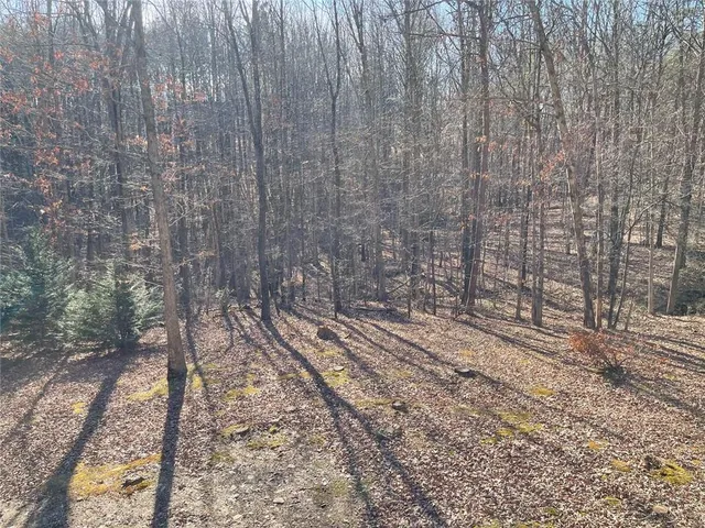 $365,000 | 224 Chimney Sweep Trail, Fairmount, GA 30139