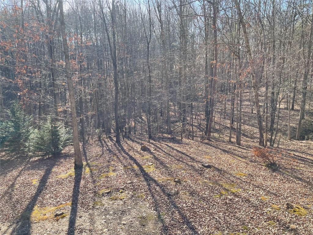 224 Chimney Sweep Trail Fairmount, GA 30139 - Photo 23 of 54