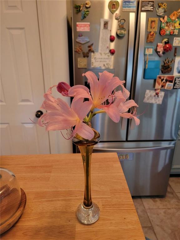 224 Chimney Sweep Trail Fairmount, GA 30139 - Photo 54 of 54