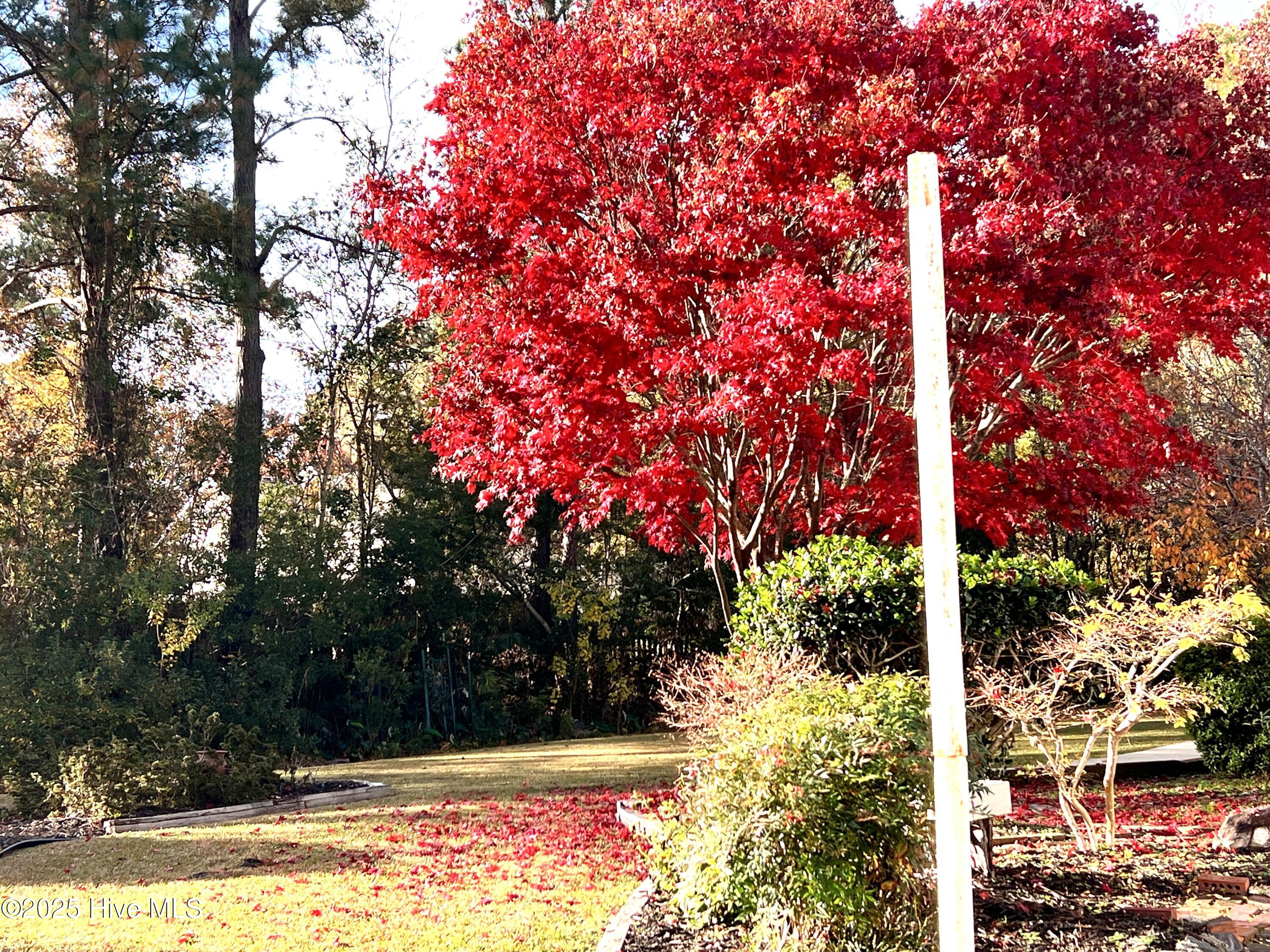 5917 Dekker Road Castle Hayne, NC 28429 - Photo 5 of 33 IMG_3265