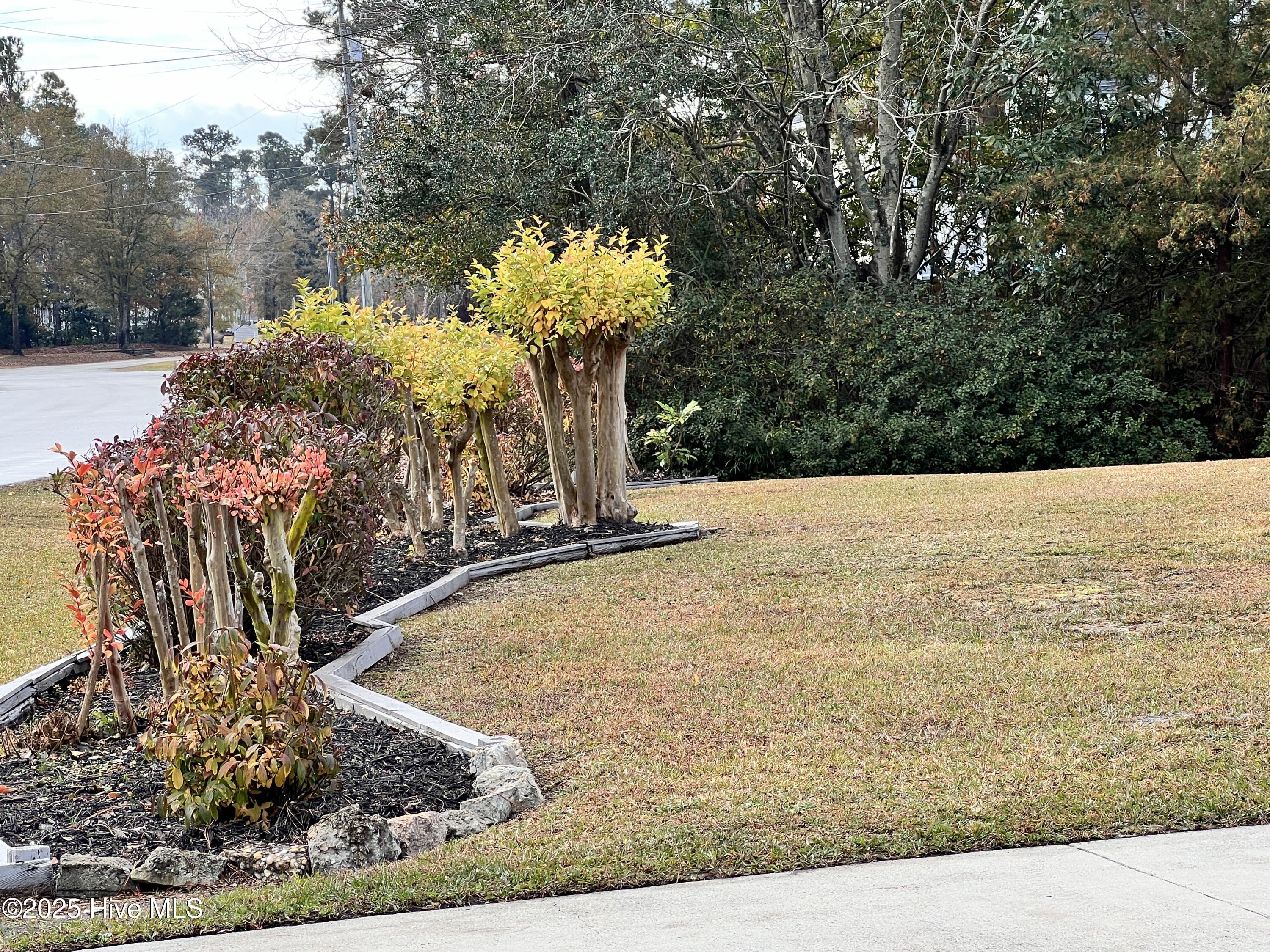 5917 Dekker Road Castle Hayne, NC 28429 - Photo 9 of 33 IMG_3294