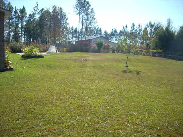 10661 George Stacey Road Elberta, AL 36530 - Photo 3 of 5 Back View