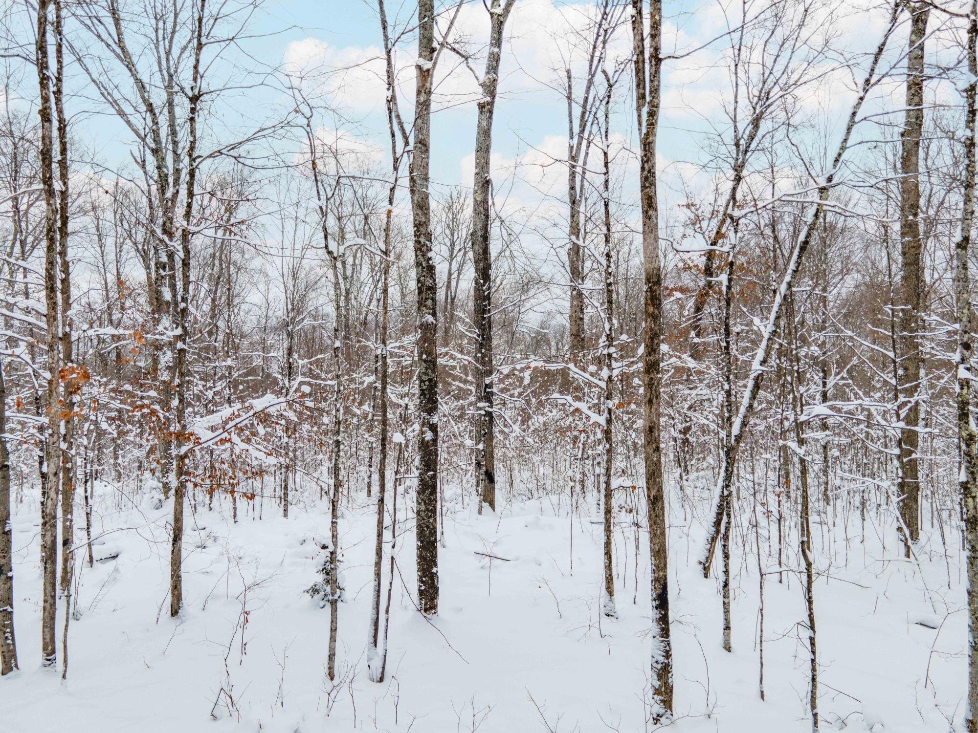Tbd University Road Iron River, MI 49935 - Photo 2 of 8 Gallery Image 2