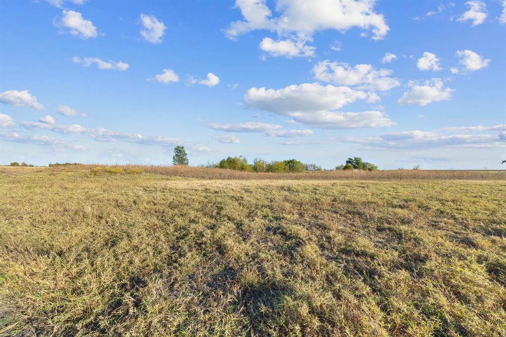 Tbd Krause Road Holland, TX 76534 - Photo 4 of 26