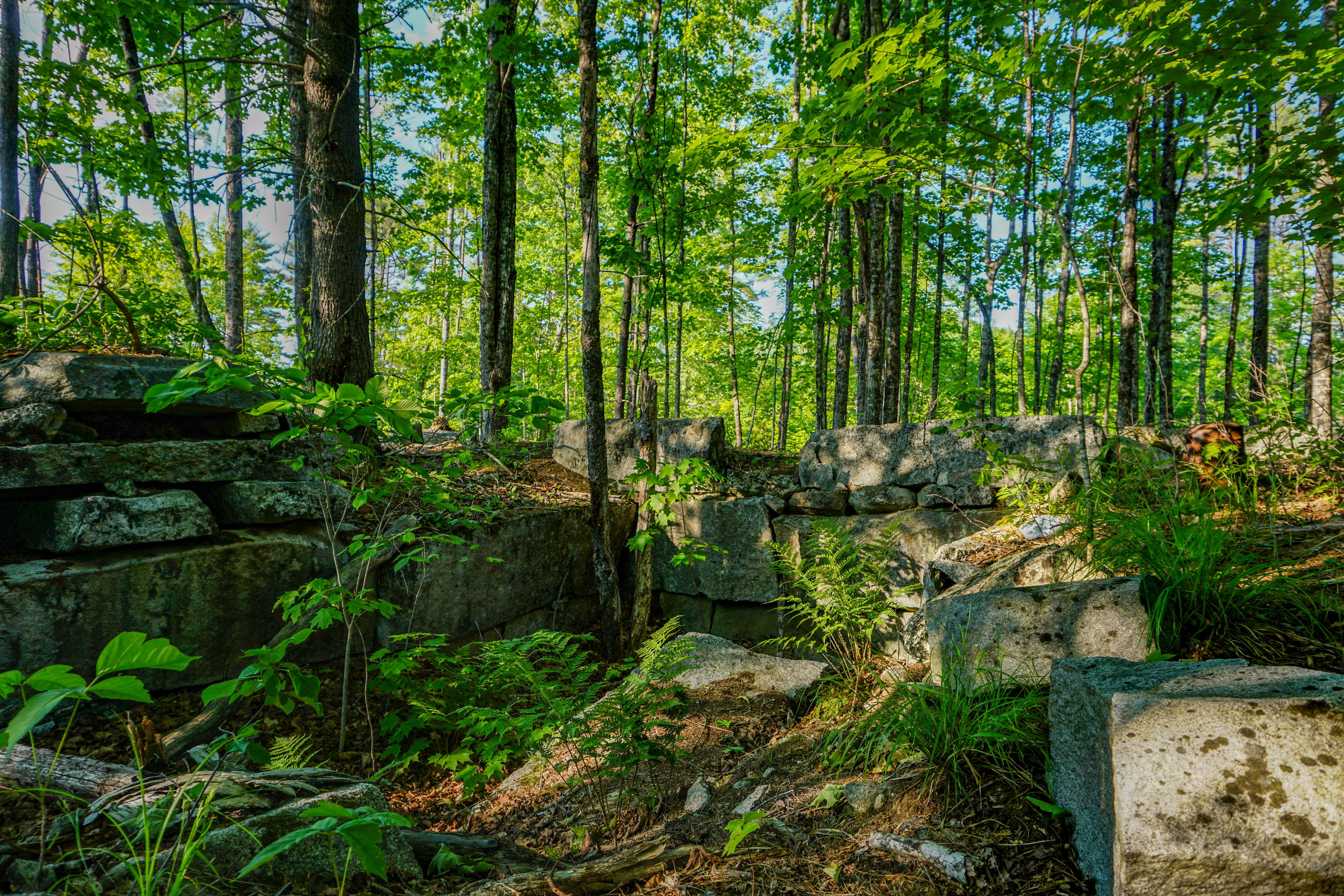 Lot 36 Knights Hill Road Harrison, ME 04040 - Photo 5 of 26 Lot 36, Sweden_122