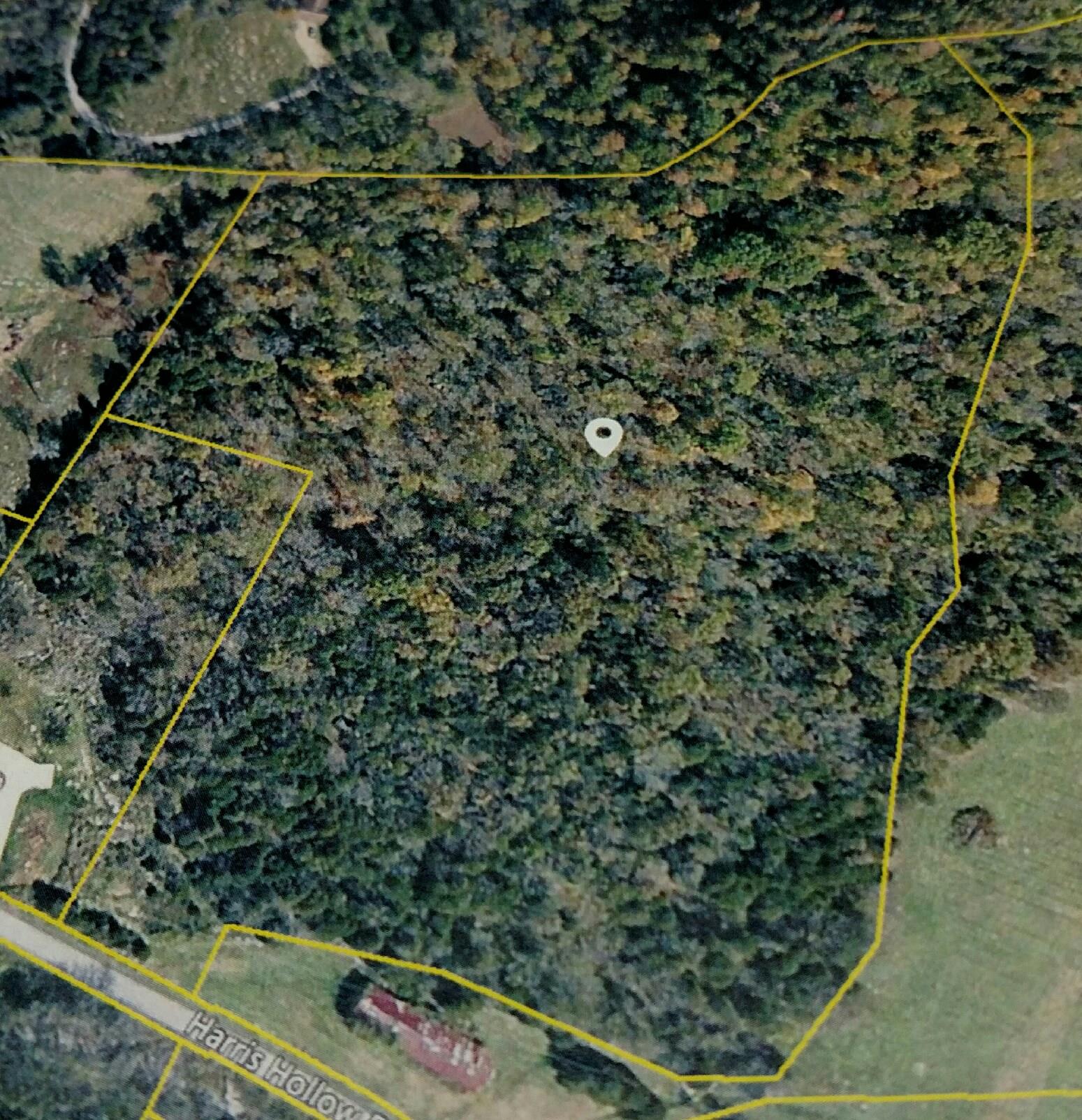 0 Harris Hollow Road Pleasant Shade, TN 37145 - Photo 2 of 2 Gallery Image 2