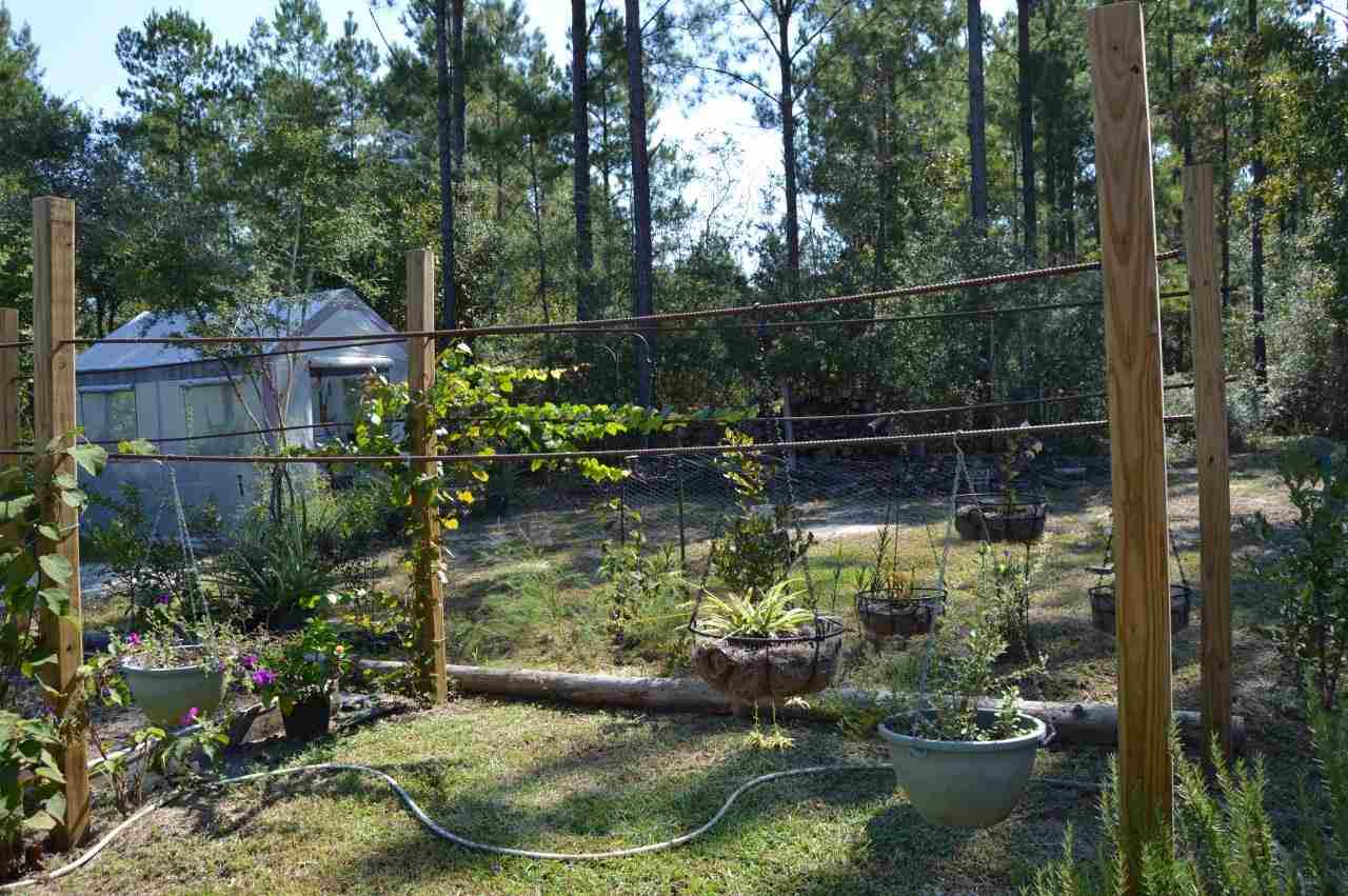 6804 Oser Road Milton, FL 32570 - Photo 30 of 45