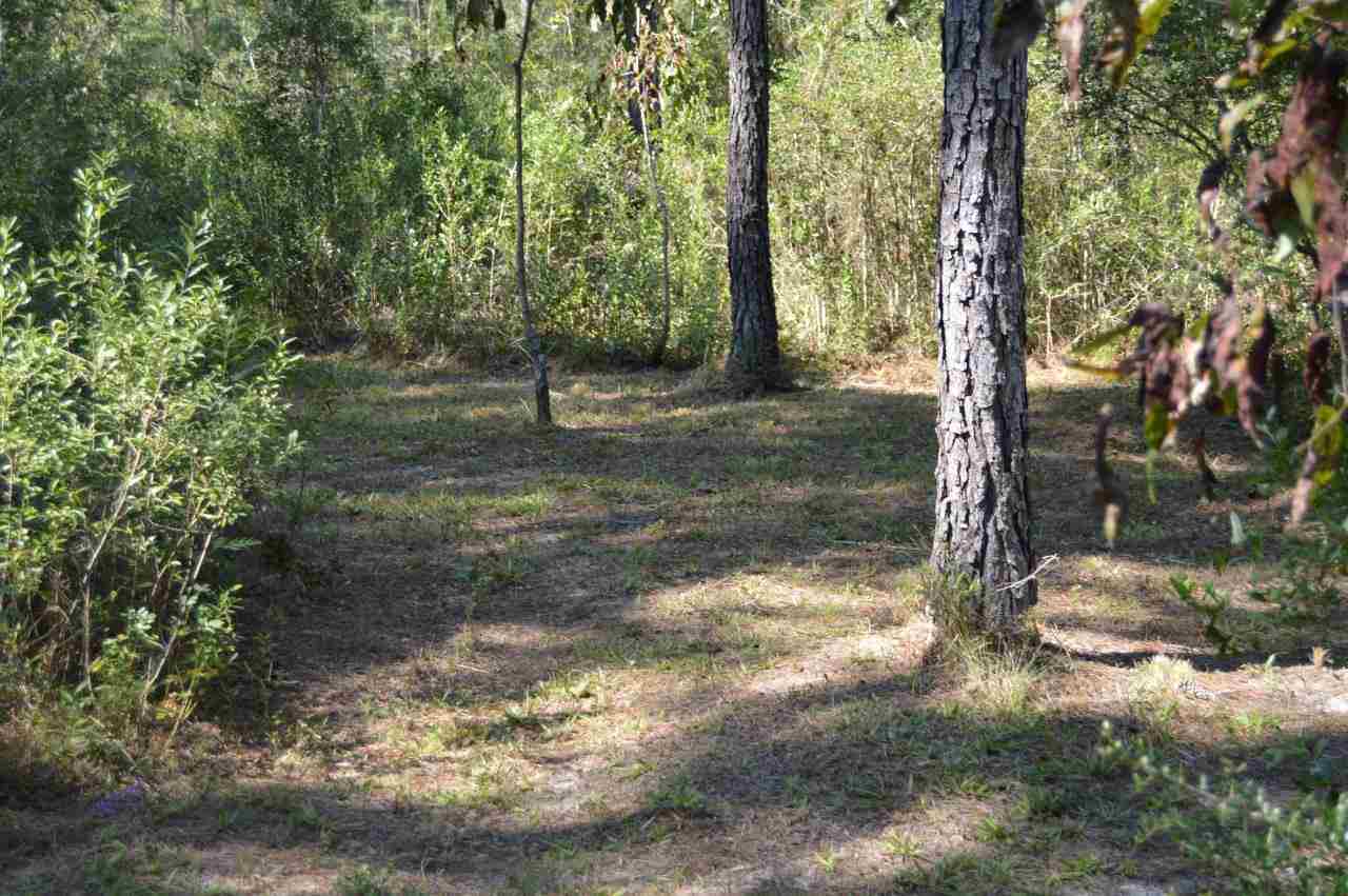 6804 Oser Road Milton, FL 32570 - Photo 34 of 45