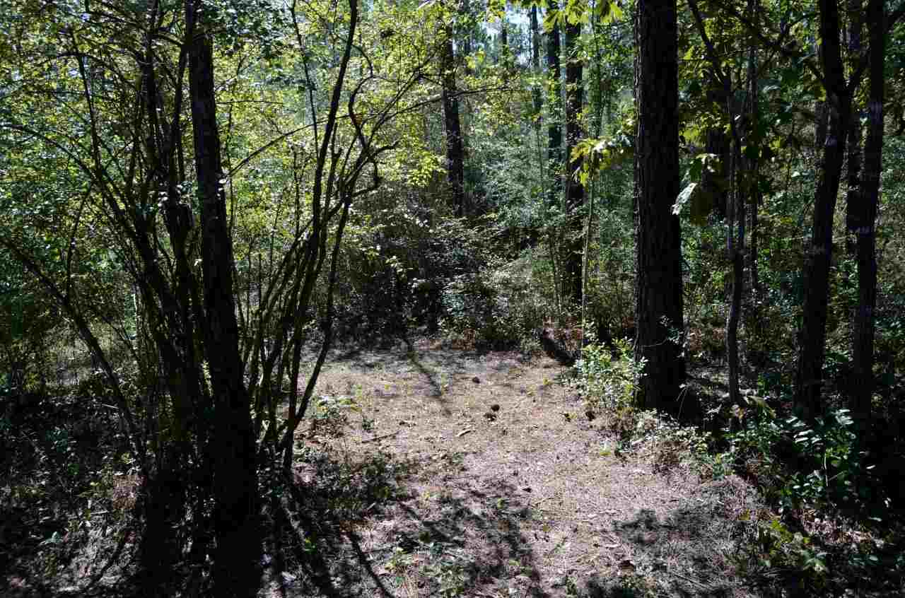 6804 Oser Road Milton, FL 32570 - Photo 35 of 45