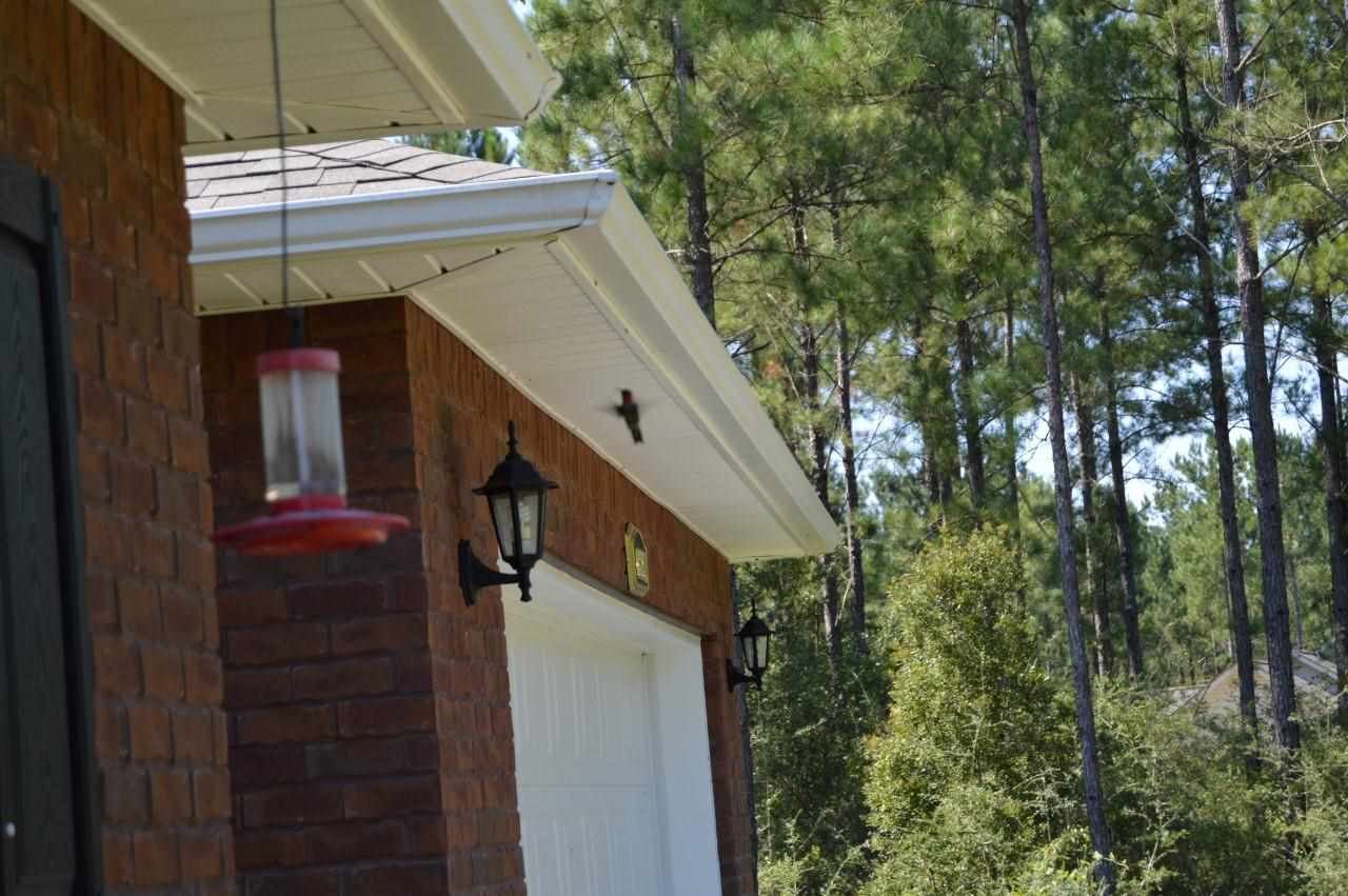 6804 Oser Road Milton, FL 32570 - Photo 39 of 45