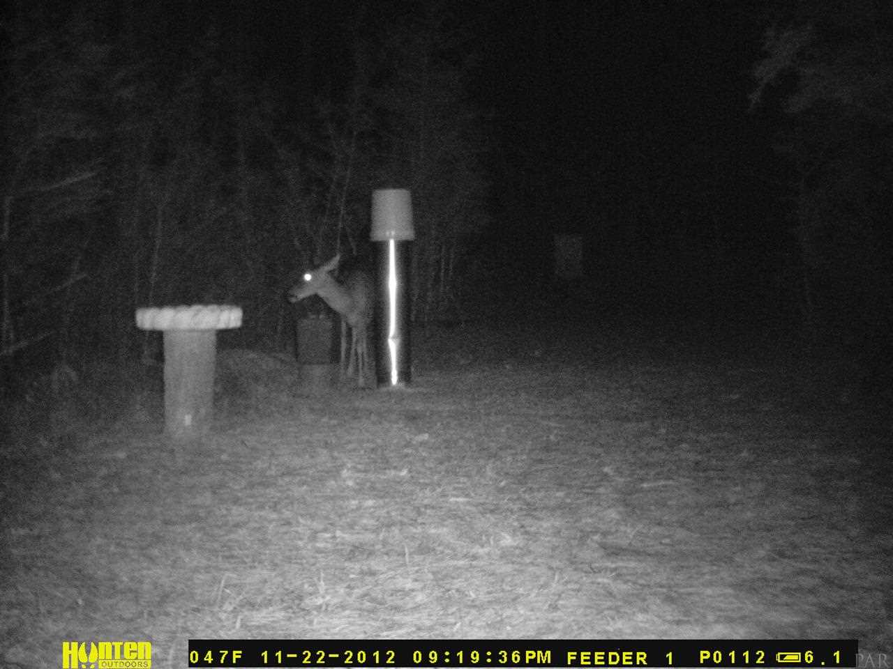 6804 Oser Road Milton, FL 32570 - Photo 43 of 45 Deer feeding at night