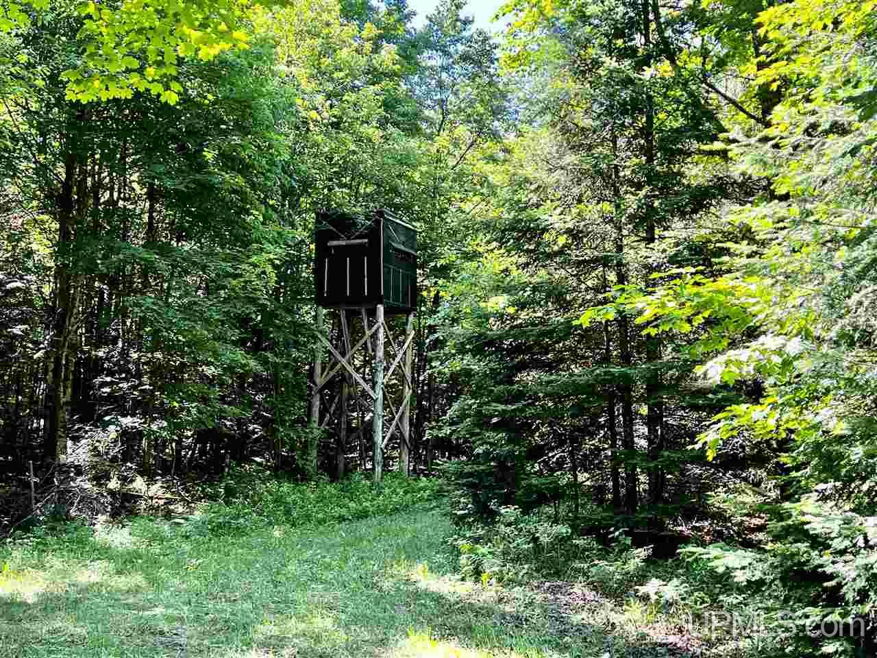 E4084 Paulsen Road Chatham, MI 49816 - Photo 58 of 78 Gallery Image 58