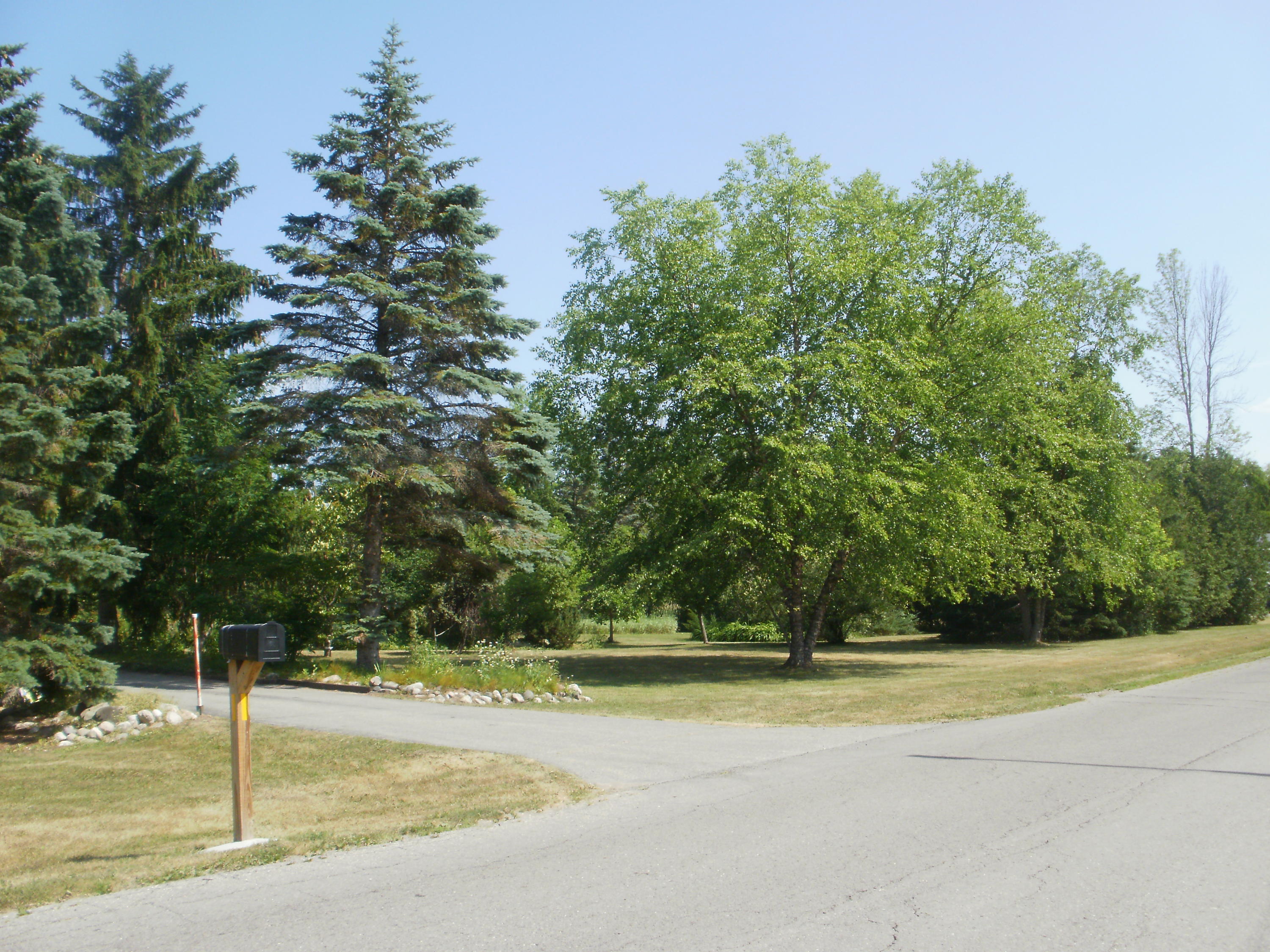 405 Palmyra Street Cheboygan, MI 49721 - Photo 66 of 73 Gallery Image 66