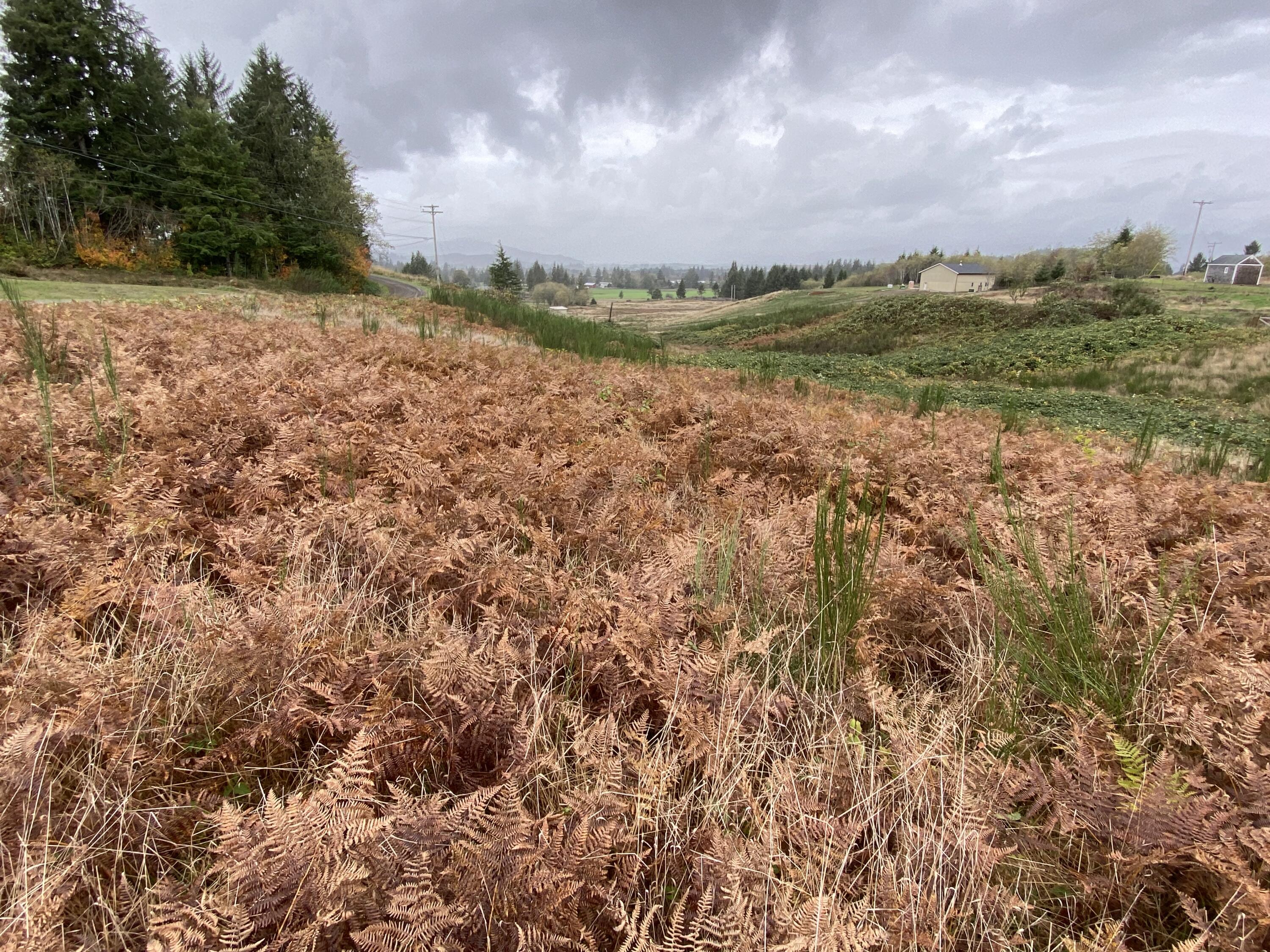Tl#01800 Hurliman Hill Road Tillamook, OR 97141 - Photo 2 of 4 IMG_1293