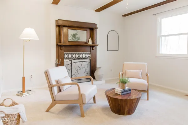 a living room with furniture a fireplace and a potted plant
