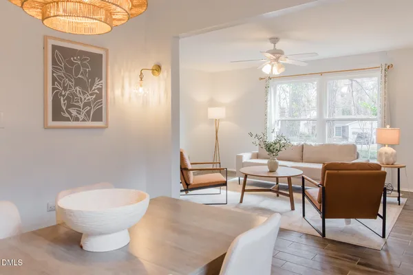 a living room with furniture potted plant and a lamp
