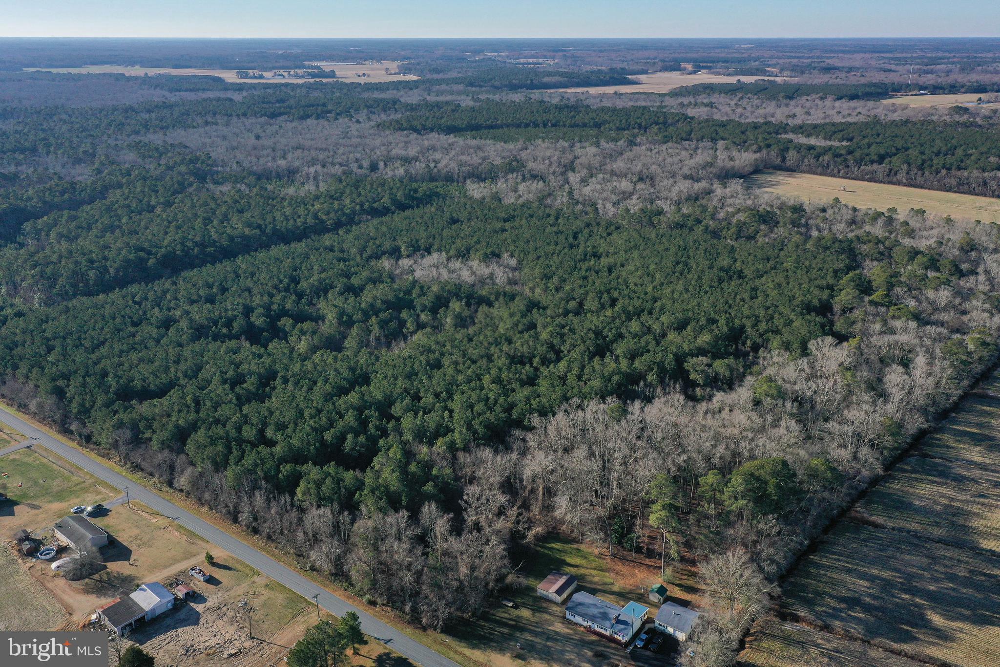 0 Bent Pine Road Willards, MD 21874 - Photo 6 of 7 Gallery Image 6