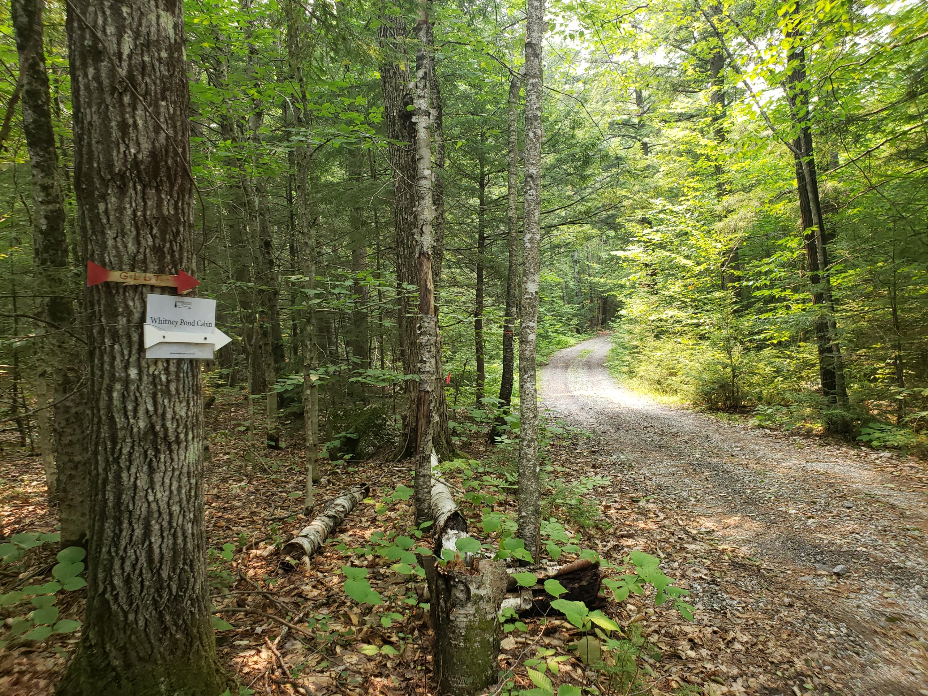 52 Whitney Pond Road Stoneham, ME 04231 - Photo 40 of 50 access road