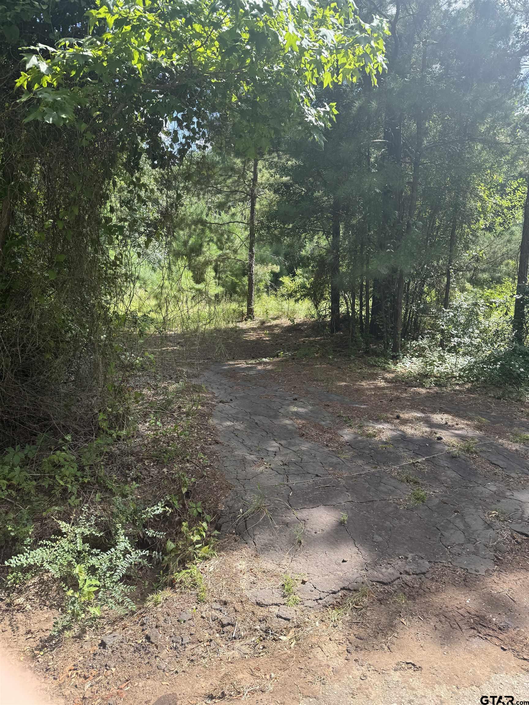 550 Whip O Will Road Gilmer, TX 75645 - Photo 2 of 6