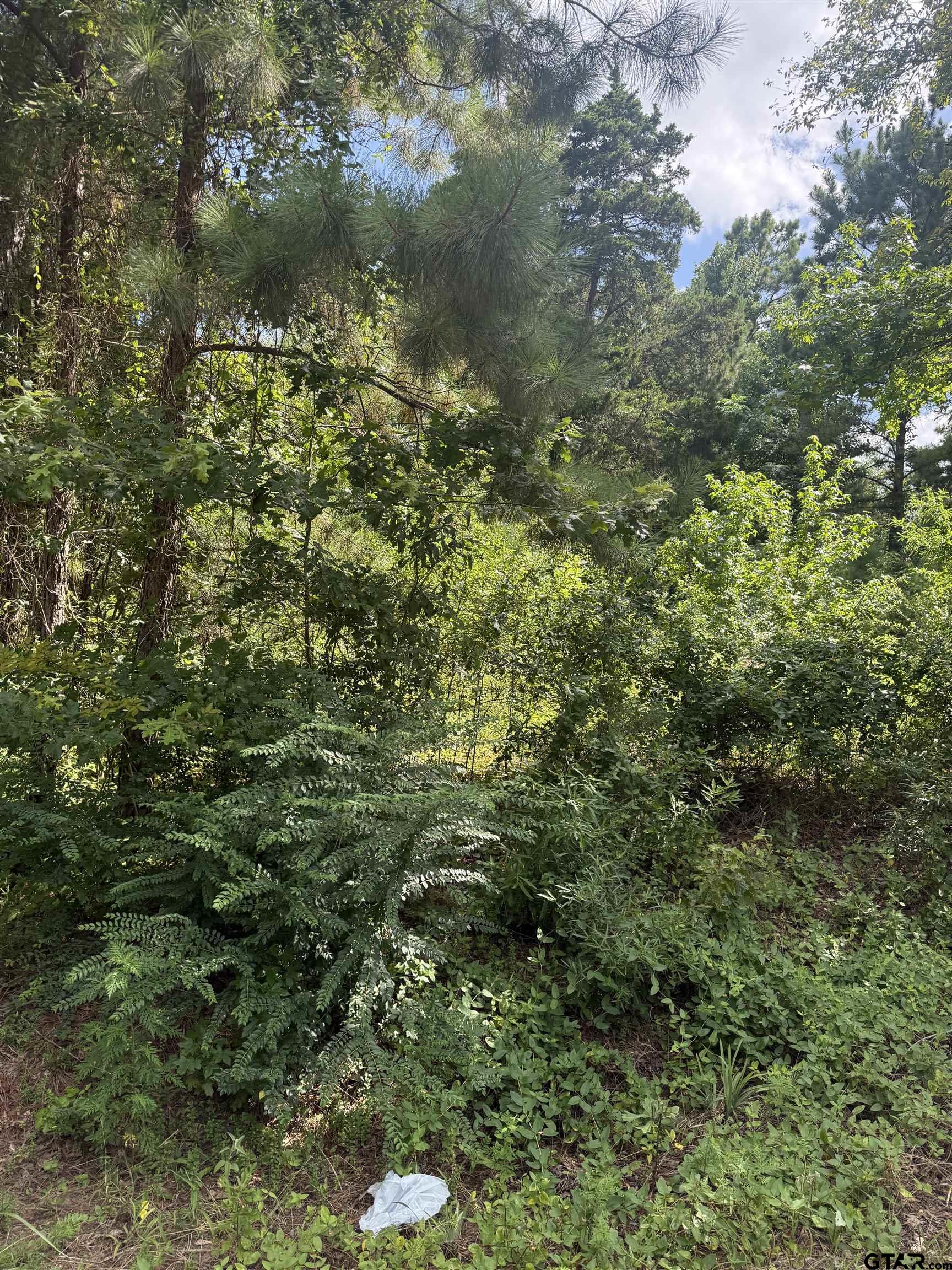 550 Whip O Will Road Gilmer, TX 75645 - Photo 4 of 6