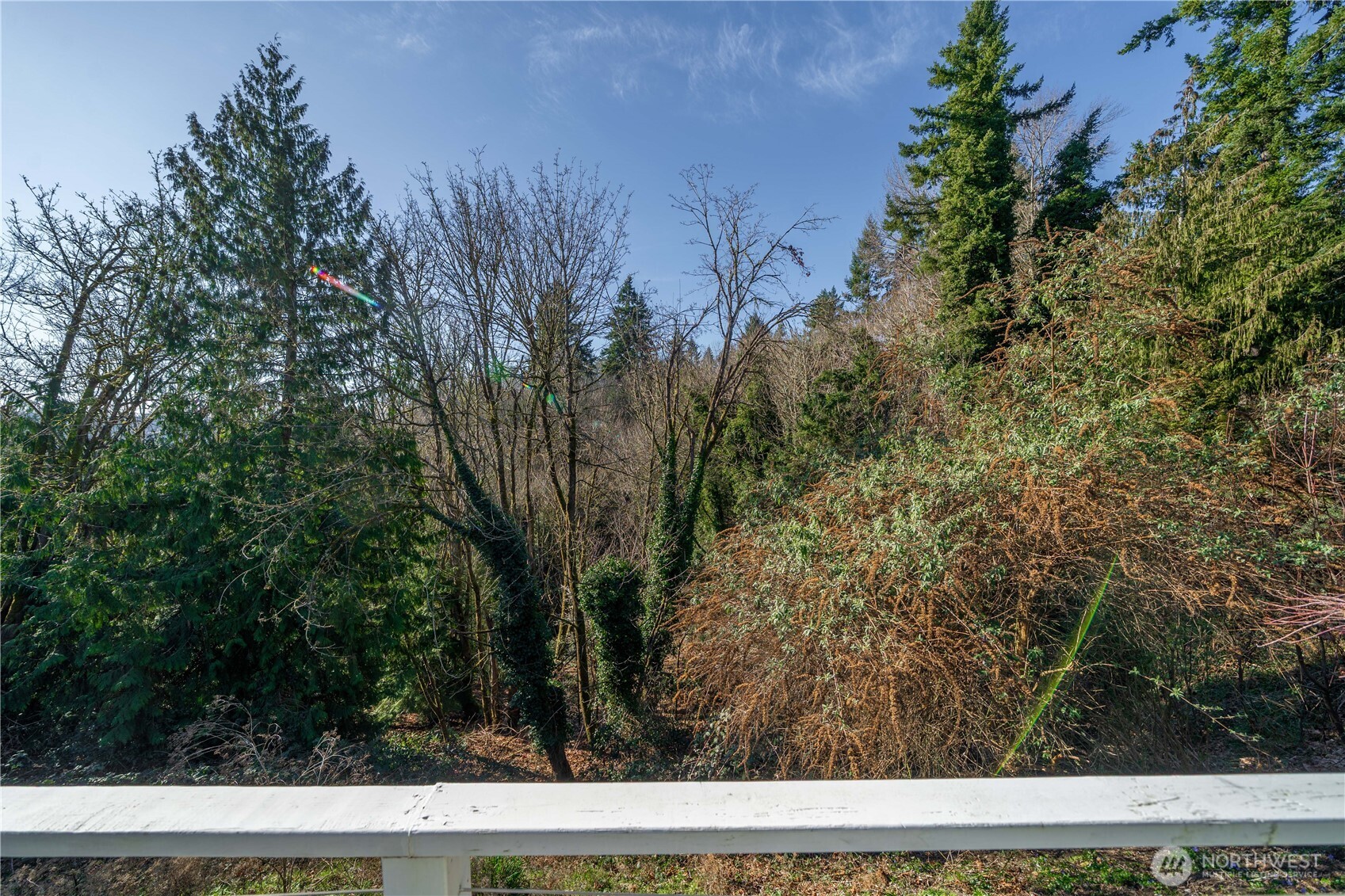 14609 142nd Avenue Southeast Renton, WA 98059 - Photo 14 of 40