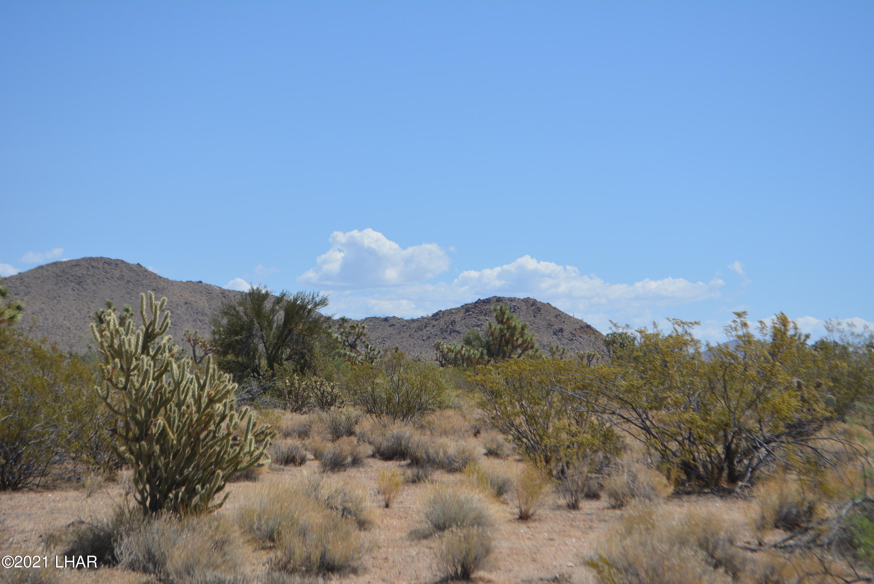 2089 South Roadrunner Road Yucca, AZ 86438 - Photo 13 of 60 DSC_0299