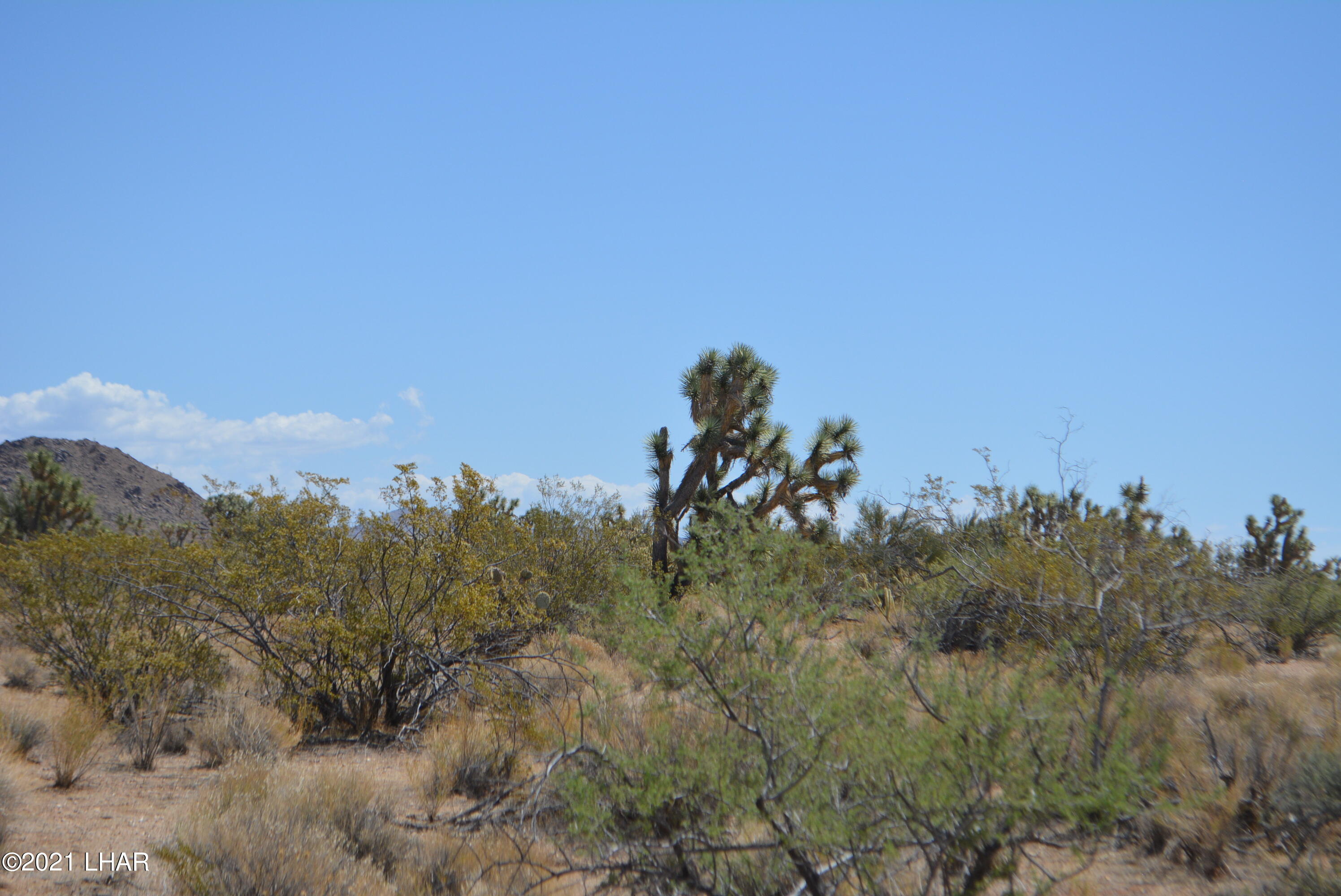 2089 South Roadrunner Road Yucca, AZ 86438 - Photo 14 of 60 DSC_0300