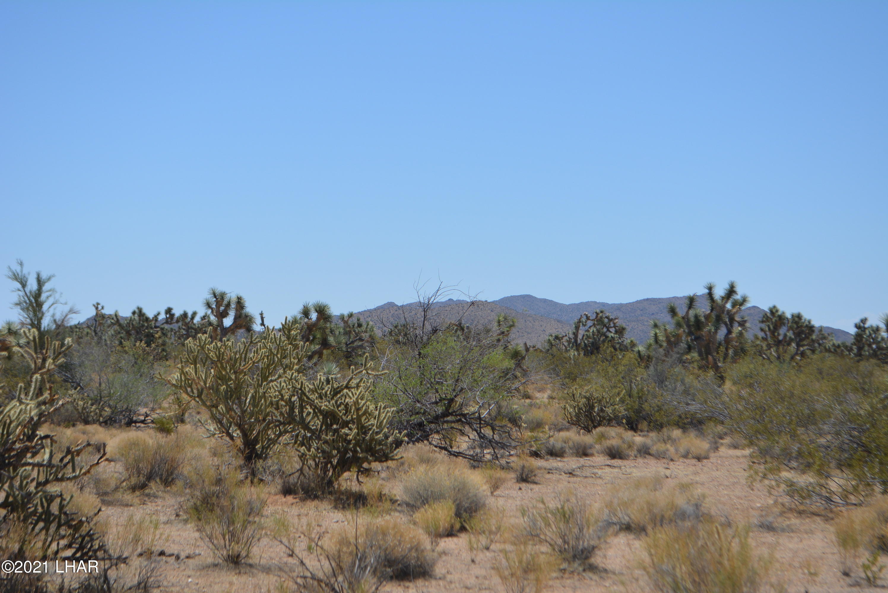 2089 South Roadrunner Road Yucca, AZ 86438 - Photo 15 of 60 DSC_0301