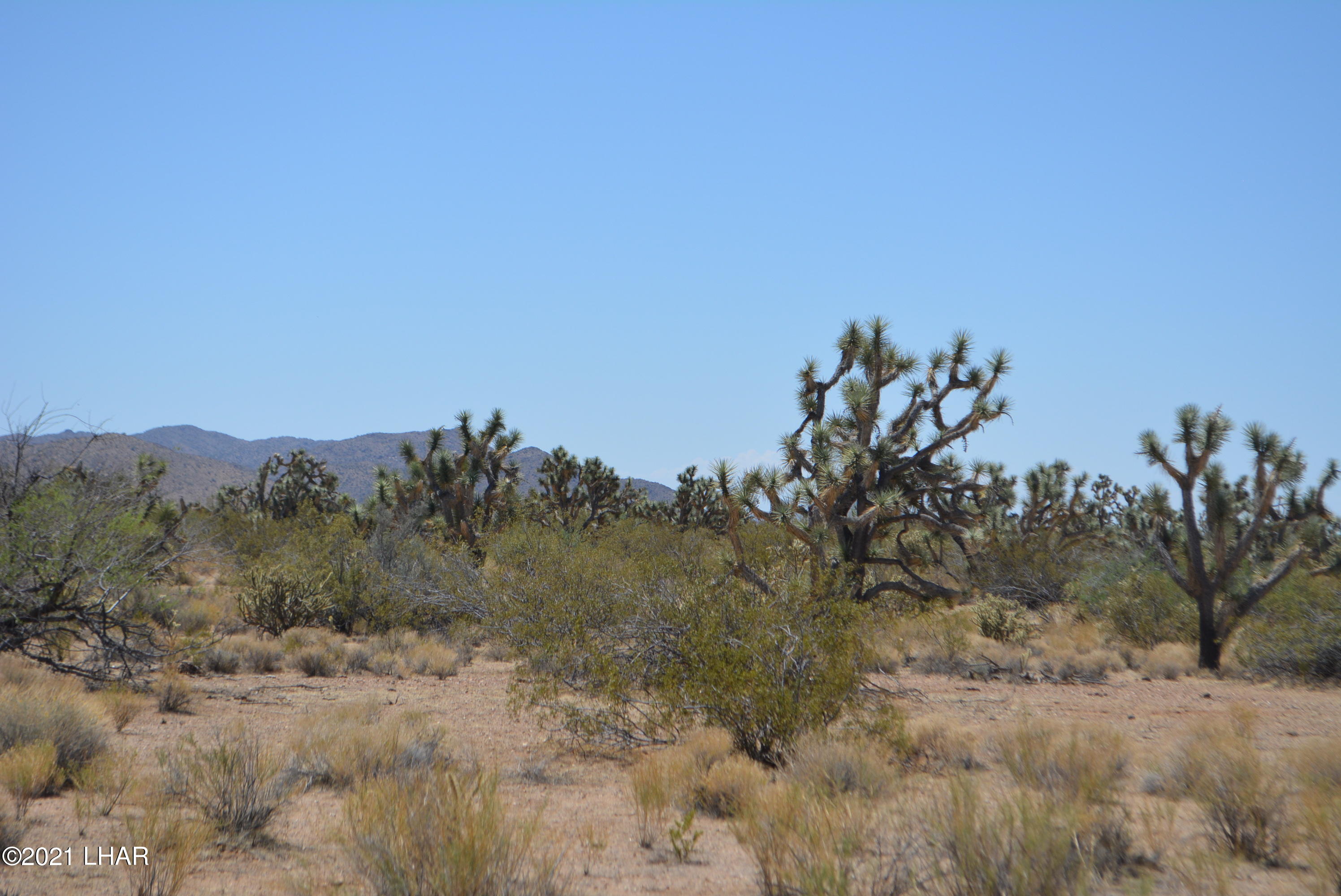 2089 South Roadrunner Road Yucca, AZ 86438 - Photo 16 of 60 DSC_0302