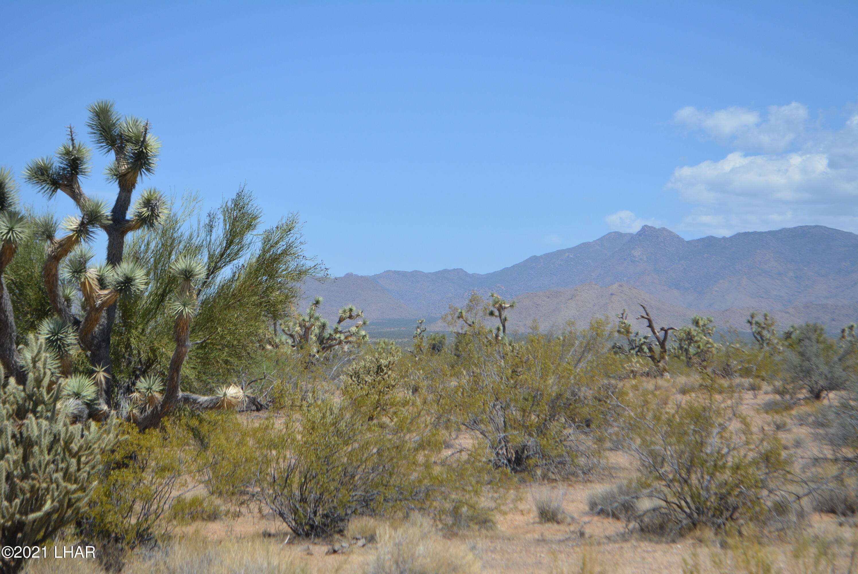 2089 South Roadrunner Road Yucca, AZ 86438 - Photo 18 of 60 DSC_0304