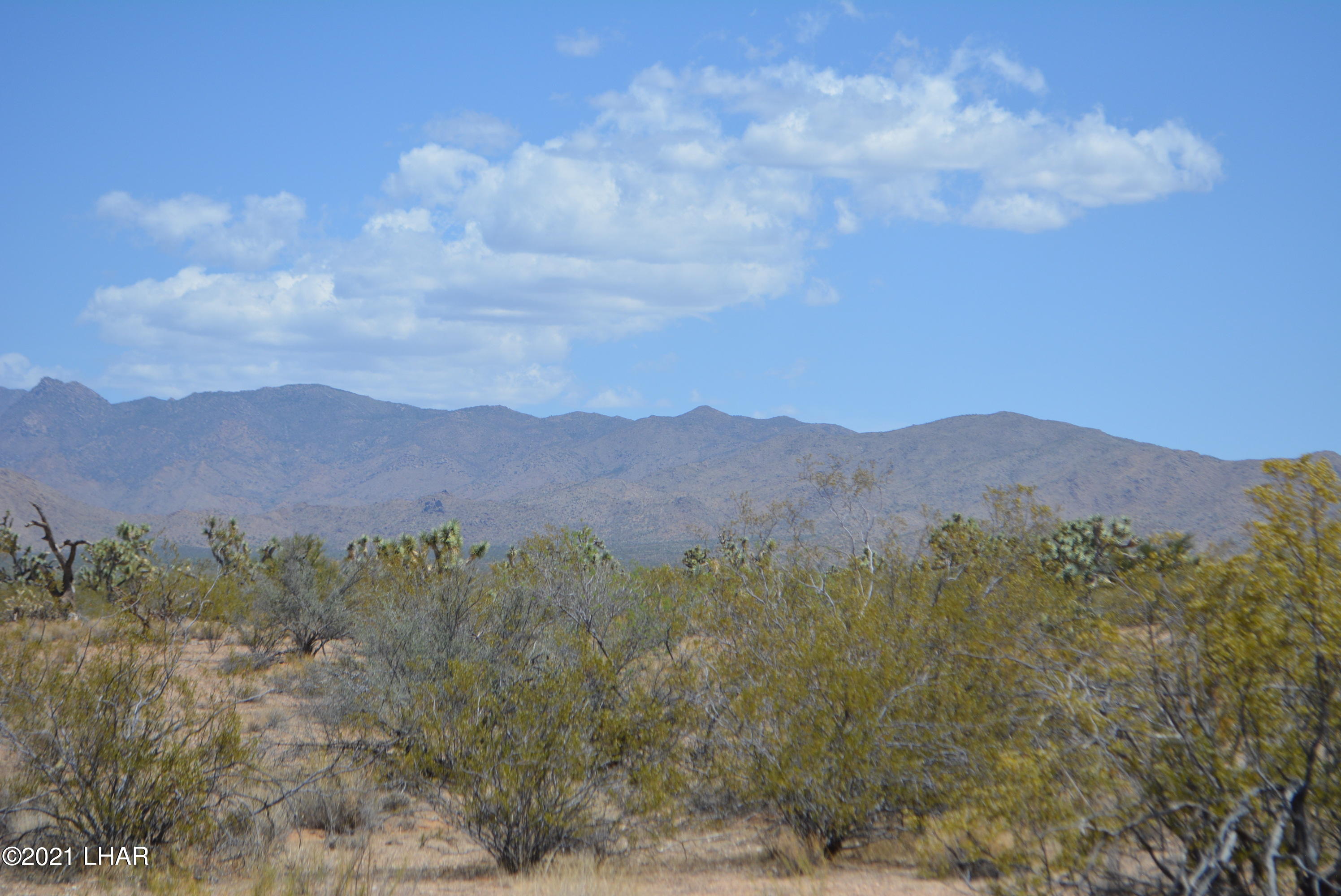 2089 South Roadrunner Road Yucca, AZ 86438 - Photo 19 of 60 DSC_0305