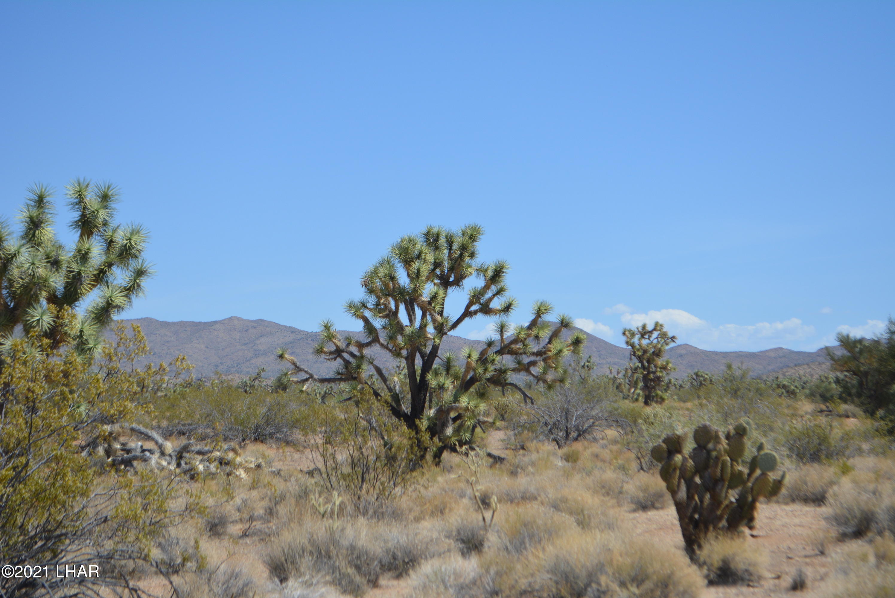 2089 South Roadrunner Road Yucca, AZ 86438 - Photo 21 of 60 DSC_0307