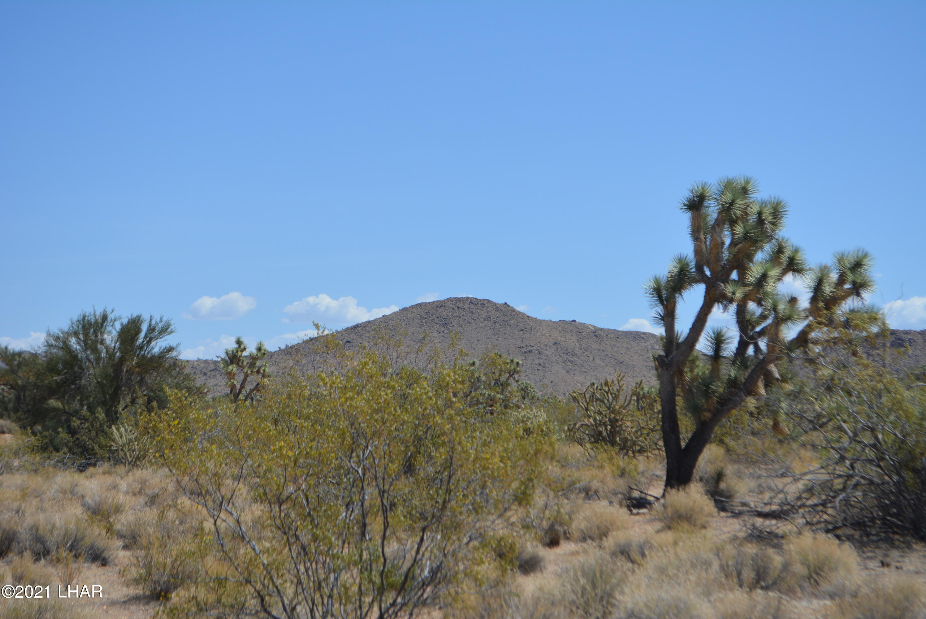2089 South Roadrunner Road Yucca, AZ 86438 - Photo 22 of 60 DSC_0308