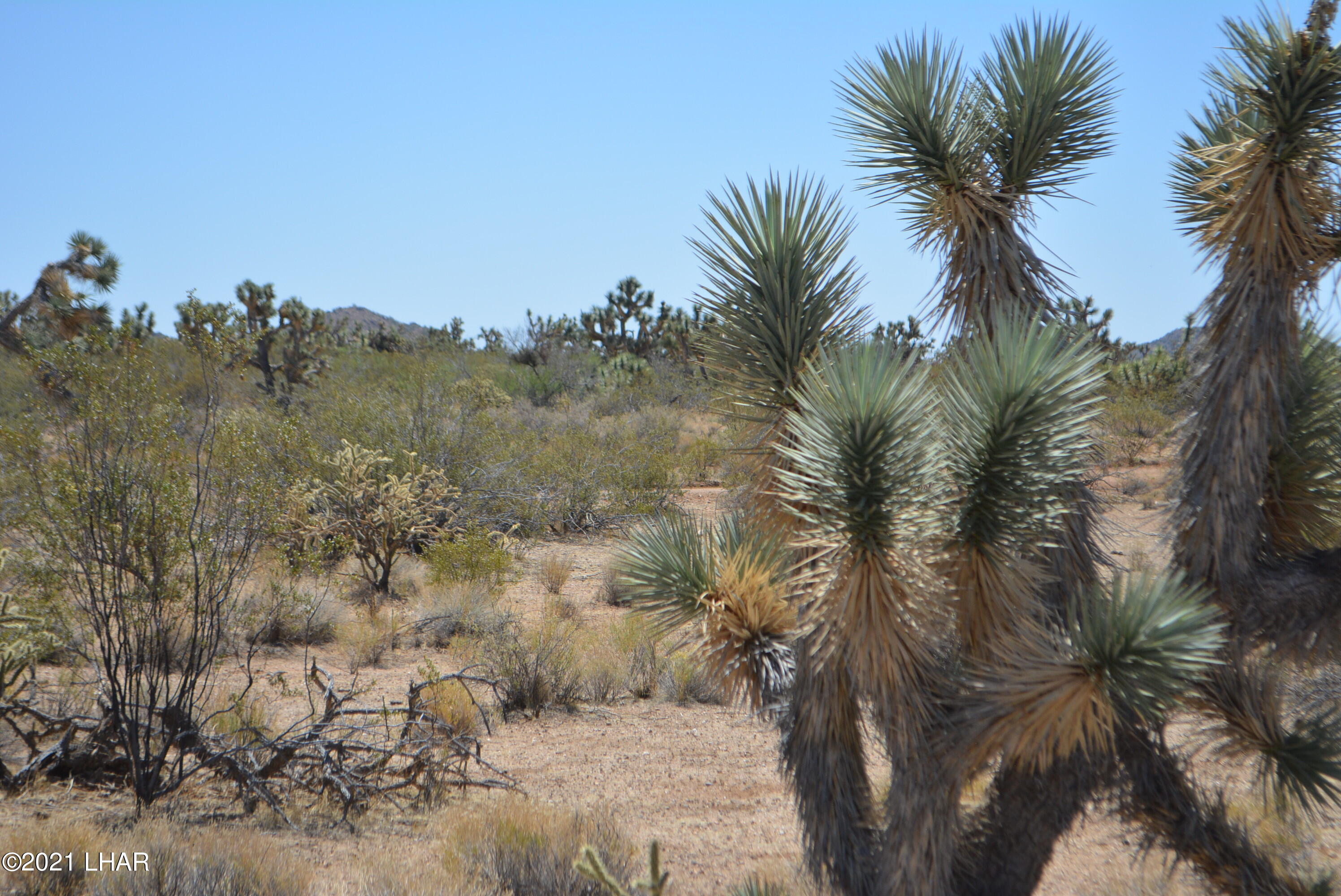 2089 South Roadrunner Road Yucca, AZ 86438 - Photo 25 of 60 DSC_0311
